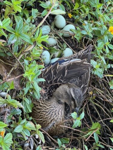 Send your best photos from Maui County to mauiphotos@mauinews.com for a chance to see them featured on our website and in our weekly print edition.